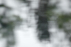 p1060796