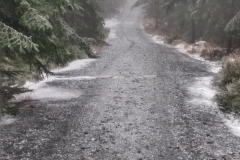 20181202-b%c4%9bh-na-lesn%c3%bd1037459