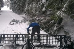 Dřevorubecké práce 2019