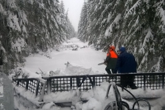 wp_20190116_010