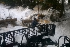 Dřevorubecké práce 20.02.2019