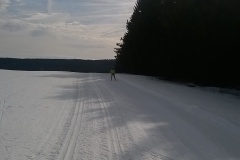 Úprava stopy 26.02.2019