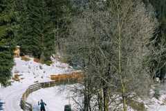 IMG-20191207-WA0038