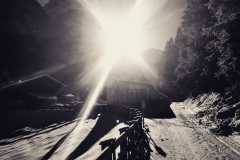 IMG-20191207-WA0043