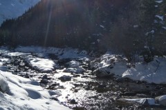 IMG-20191208-WA0009