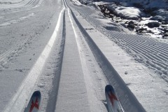 IMG-20191208-WA0011