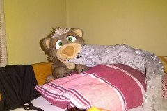 IMG-20191208-WA0015
