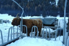 IMG-20191208-WA0018