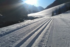 IMG-20191208-WA0020