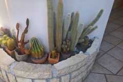 IMG-20191209-WA0009
