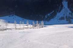 IMG-20191209-WA0012