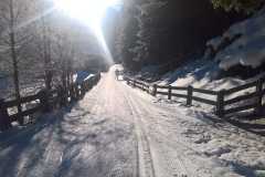 IMG-20191209-WA0014