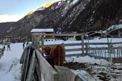 IMG-20191209-WA0024
