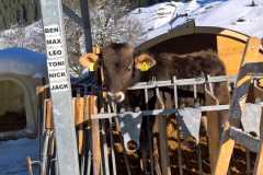 IMG-20191209-WA0028