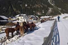 IMG-20191209-WA0052