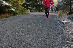 IMG_20191110_103531
