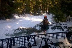 Dřevorubecké práce Kladská