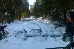 WP_20190215_015