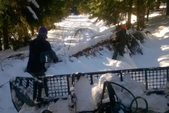 WP_20190215_016