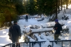 WP_20190215_018