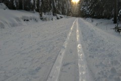 IMG-20200208-WA0010