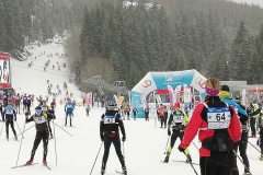 Krkonošská 70 2020