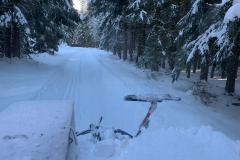 IMG-20210114-WA0001