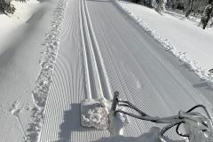 IMG-20210114-WA0003