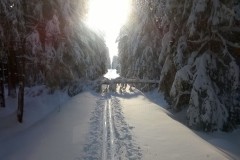 Úprava stopy 4.a 5.2.2019